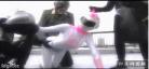 新村明里最好的是哪一部